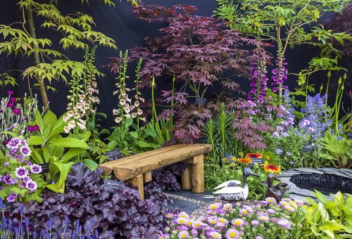 Welcome to BBC Gardeners’ World Live at the NEC